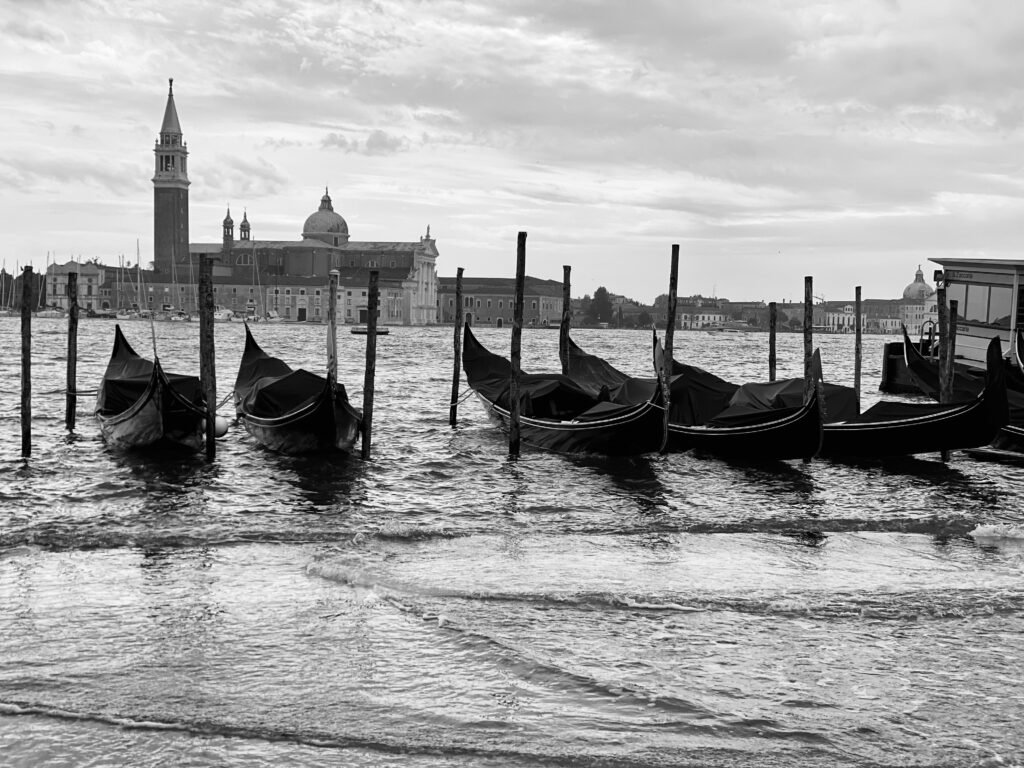 VENICE 7/3