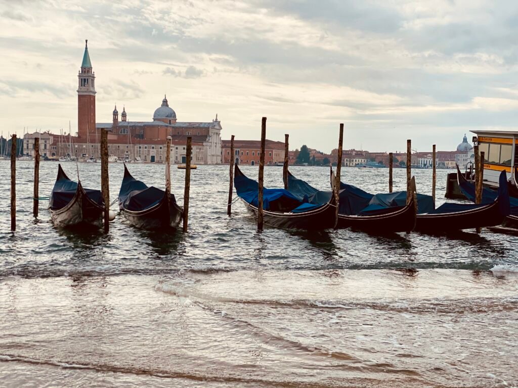 VENICE 7/2