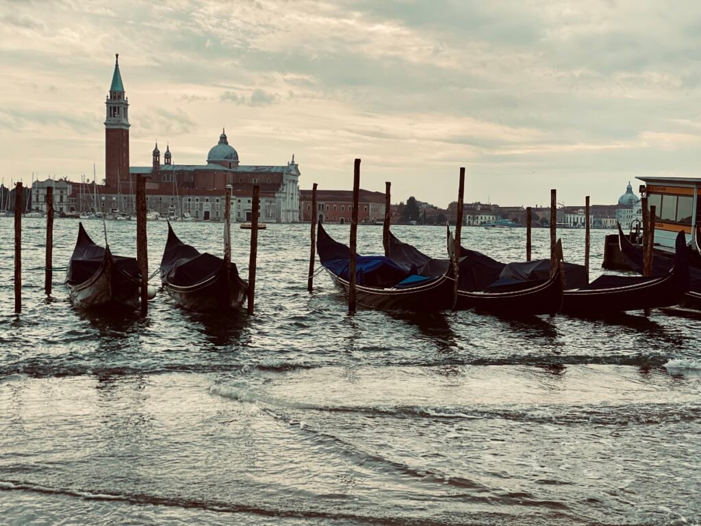 VENICE 7/1