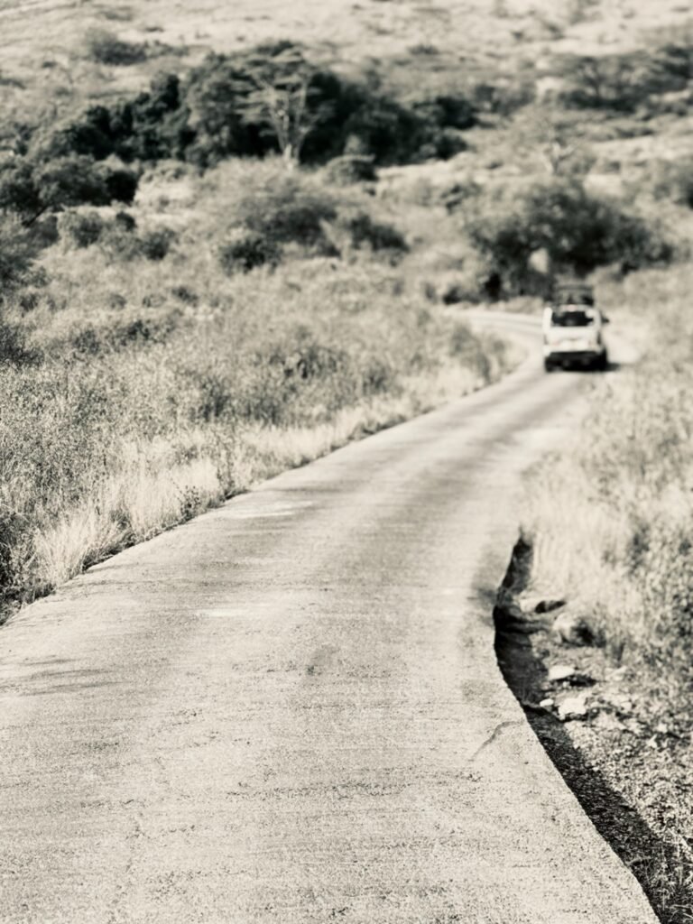 KENYA 6/3